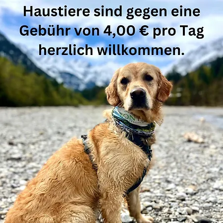 Apartment Alpenfieber *