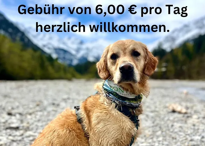 Alpenfieber Oberstdorf